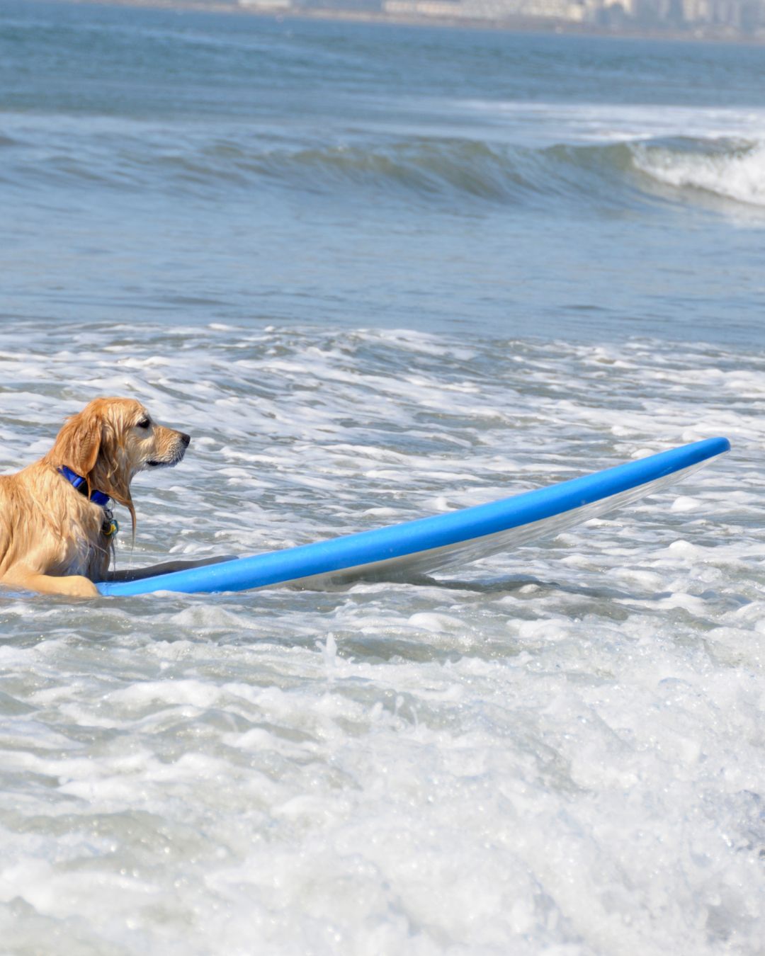 Sandbar with whitewater practice zone