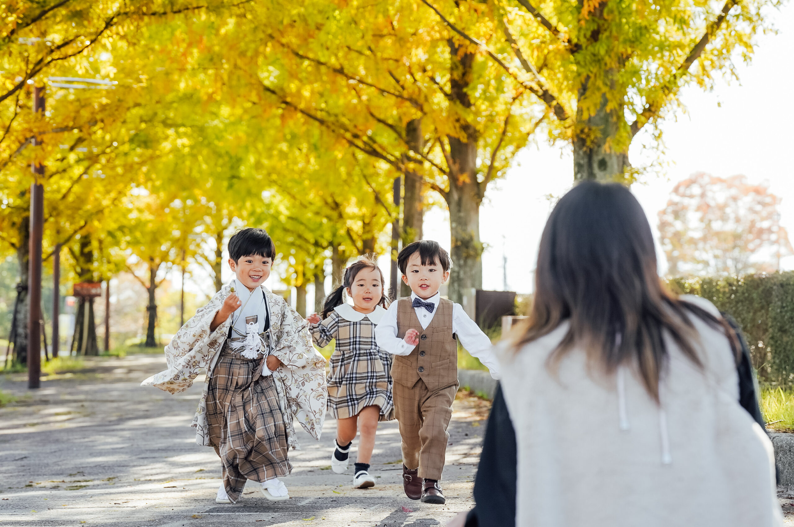 Arashiyama-style path, warm afternoon glow and red foliage