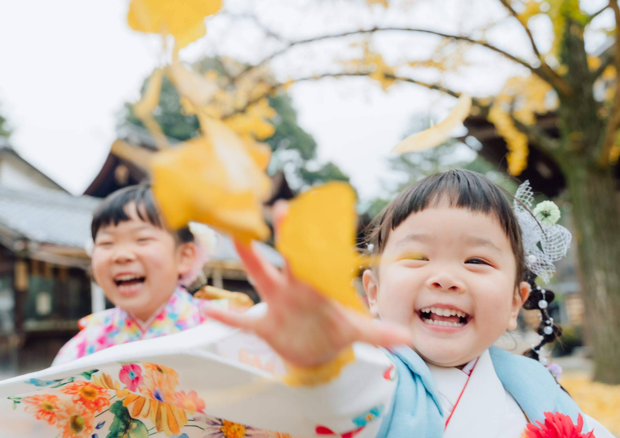 Kimono couple in shrine approach, gentle pose