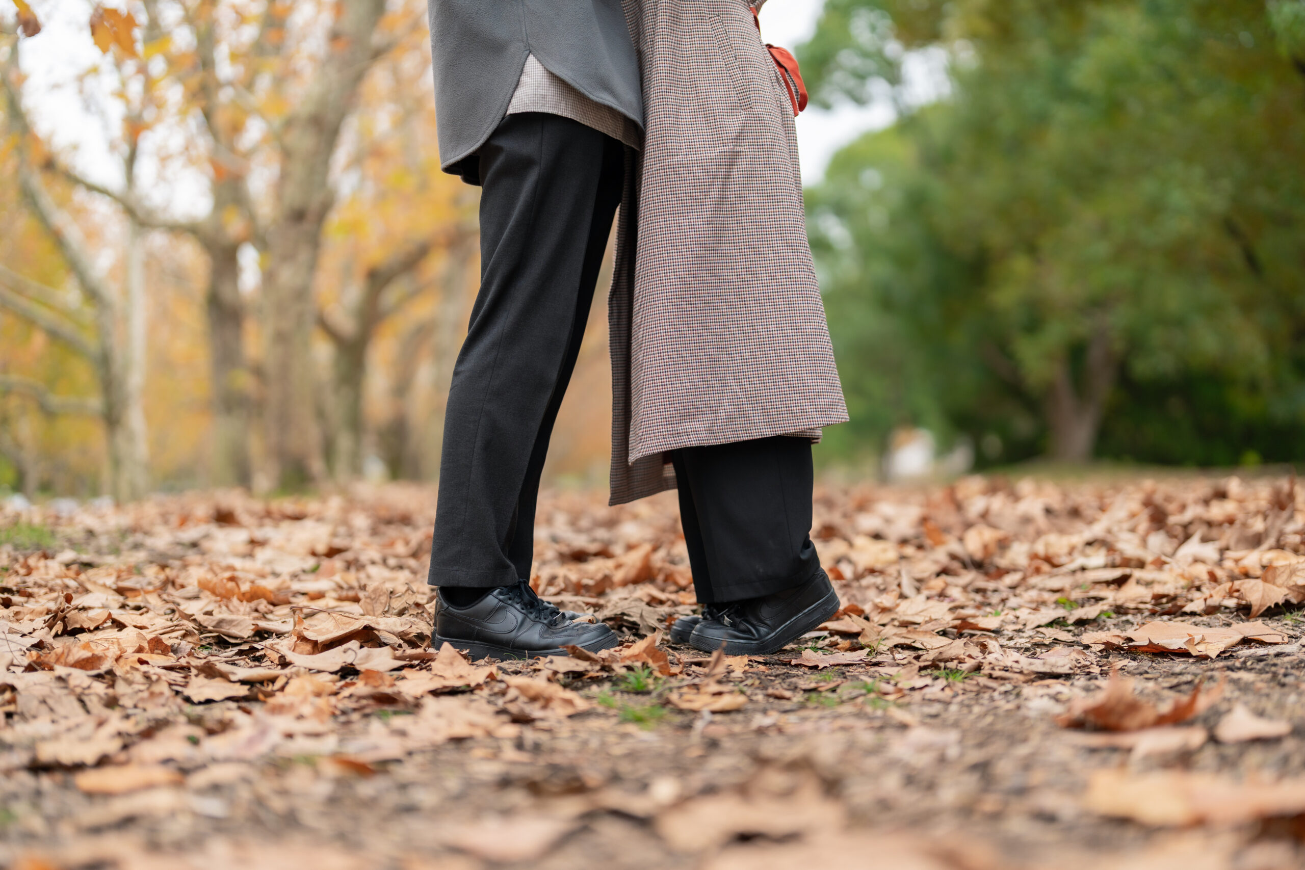 Autumn street scene with soft backlight, cinematic mid shot in Kyoto