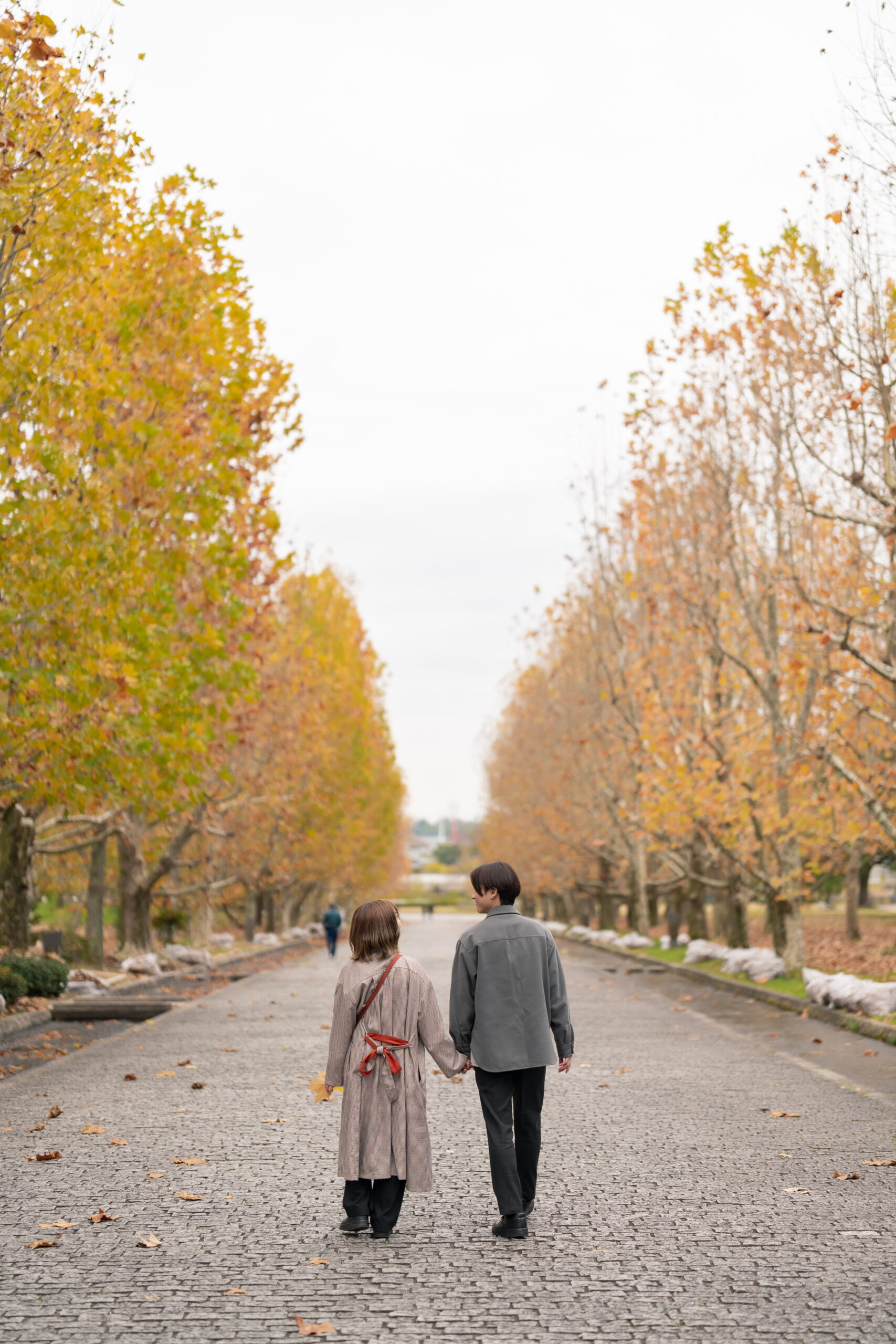 Kyoto autumn boulevard glowing at golden hour, cinematic wide shot