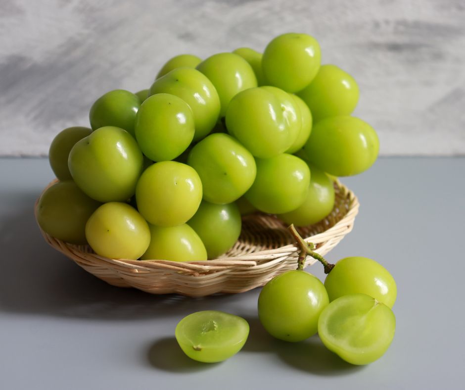 Mountain village in warm afternoon light
