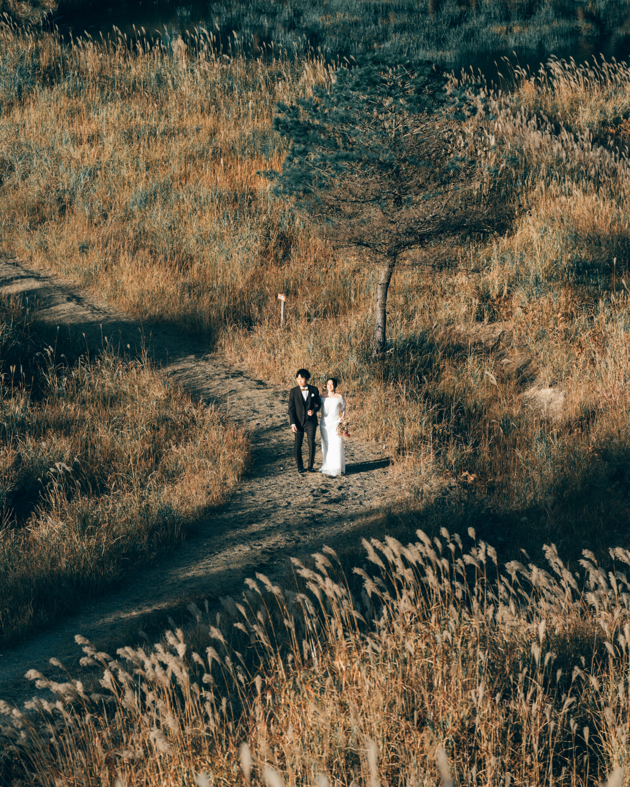 Quiet Kyoto lane, couple holding hands under maple leaves