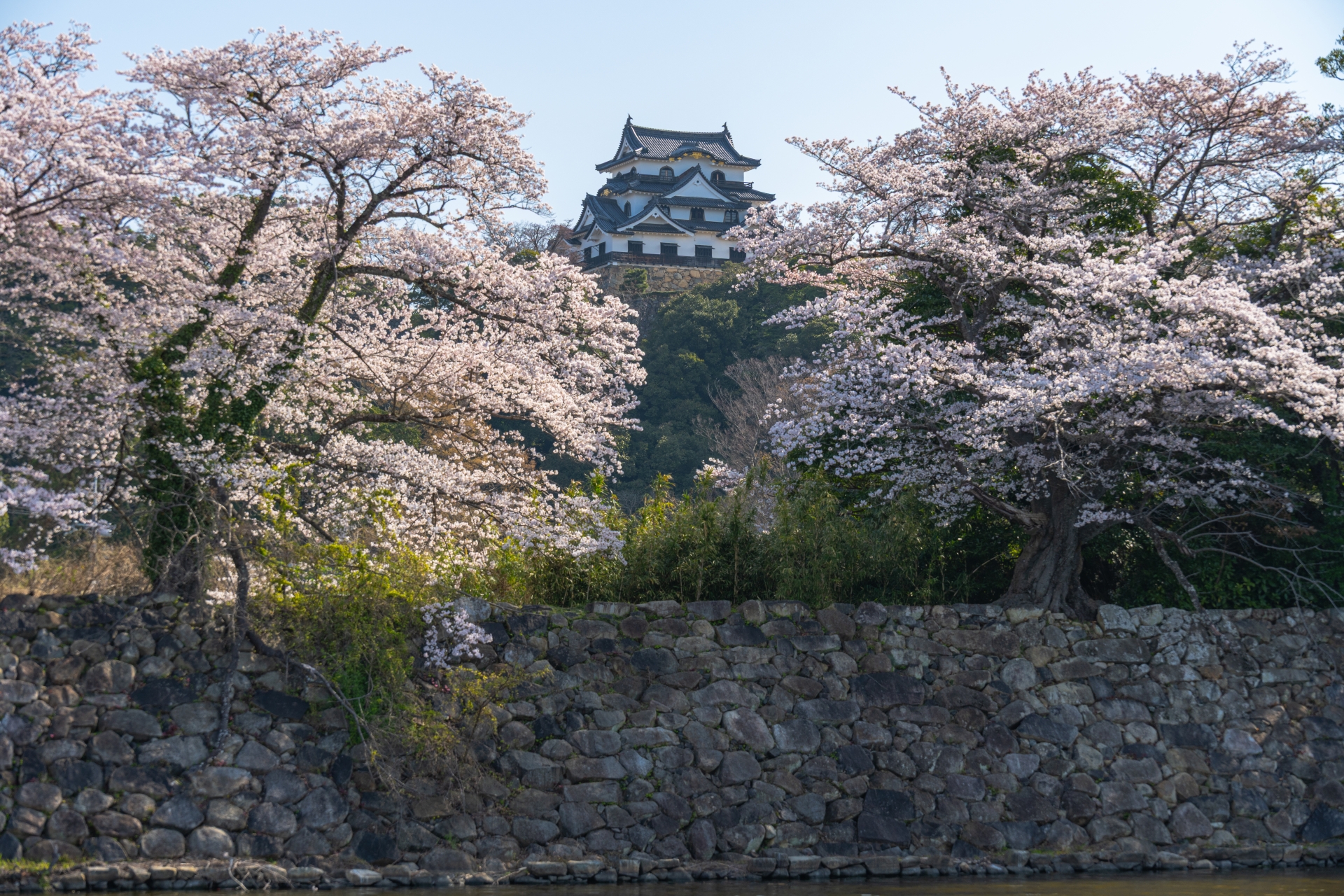 Kyoto scenic view