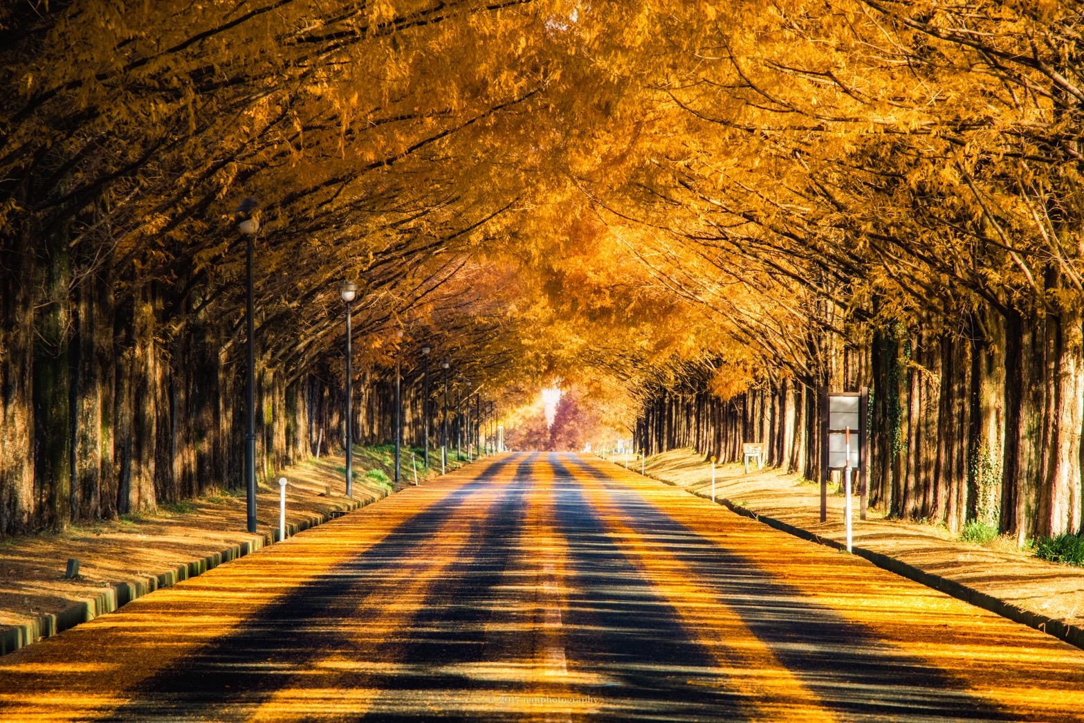 Japanese temple in autumn